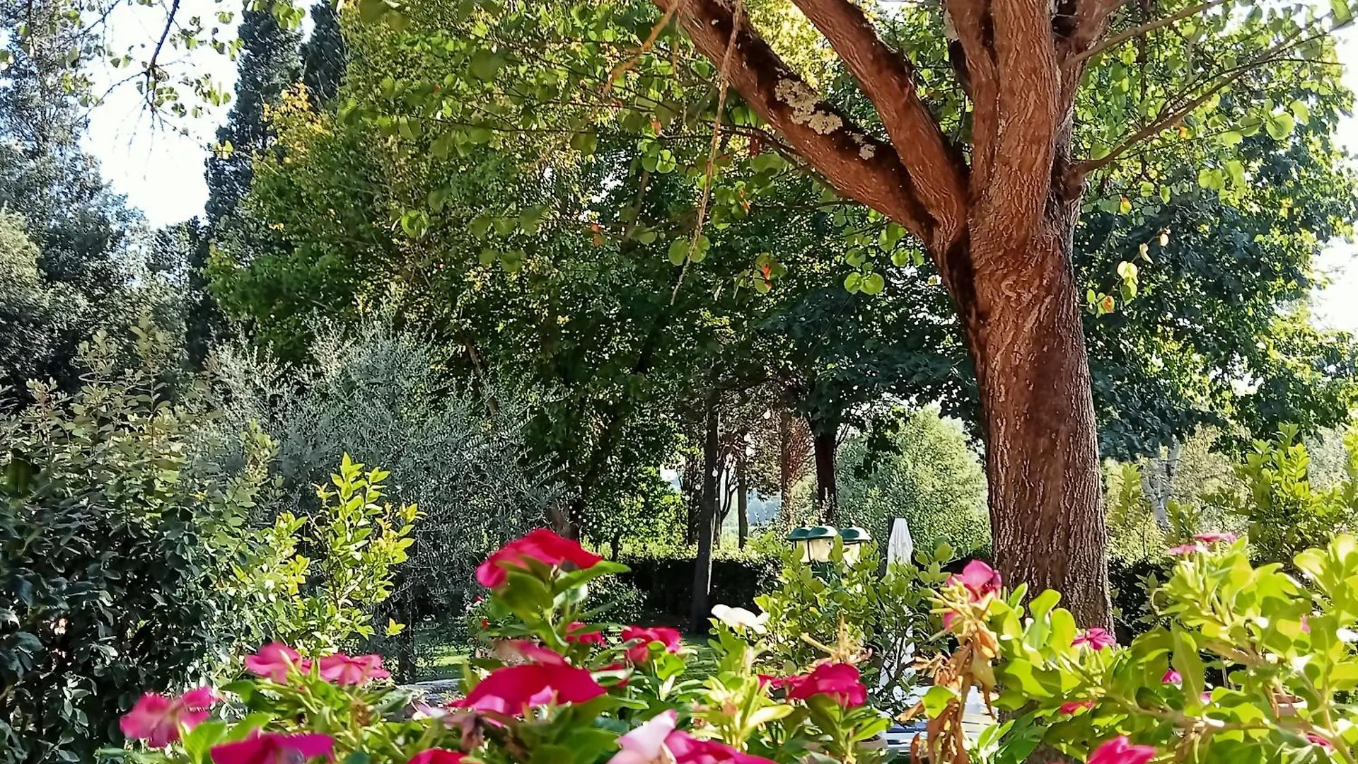 B&B Podere Di Sotto Montelupo Fiorentino