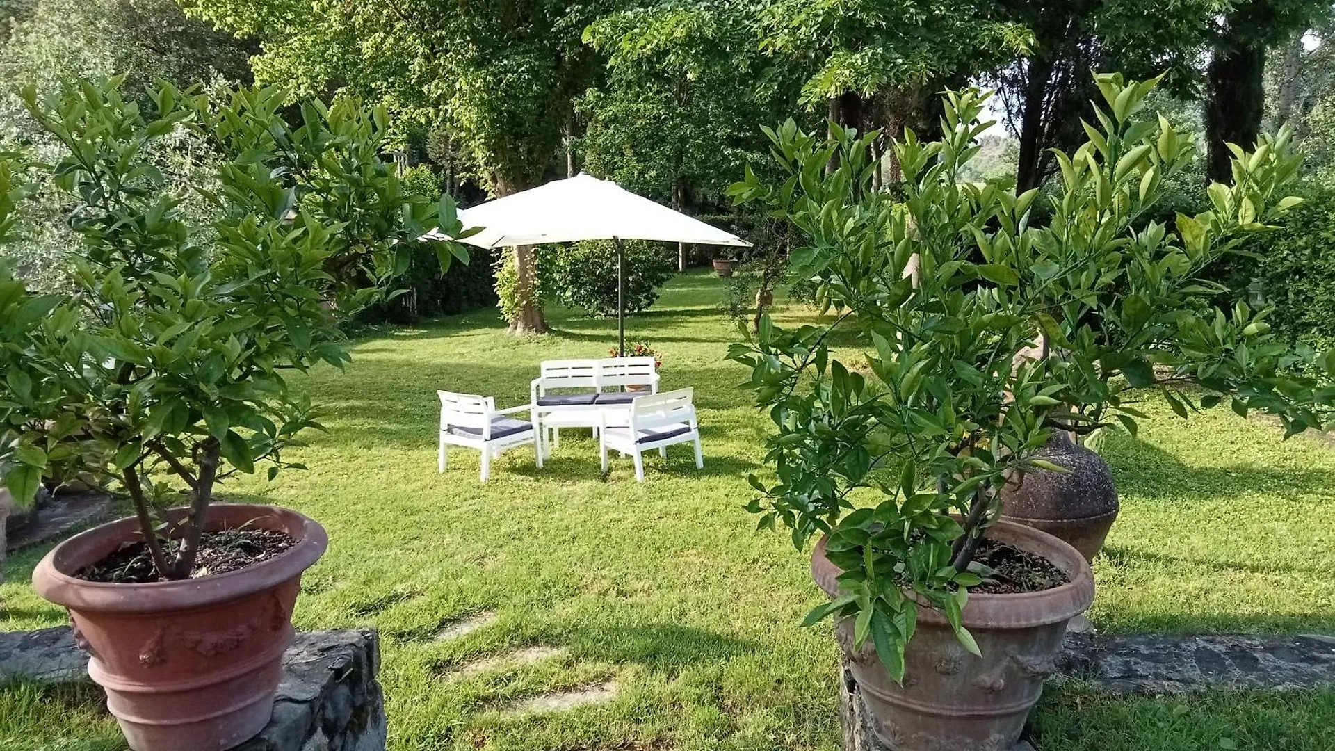 B&B Podere Di Sotto Montelupo Fiorentino Bed & Breakfast