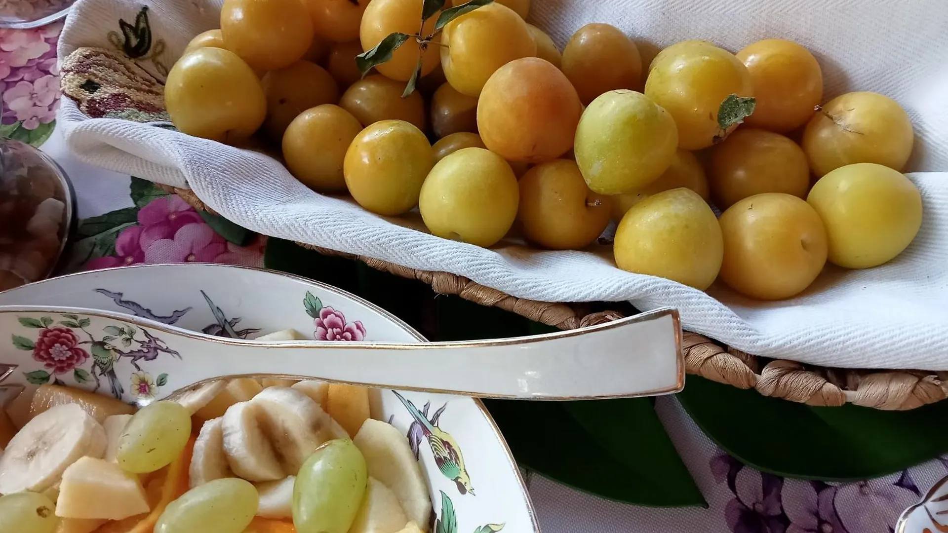 Bed & Breakfast B&B Podere Di Sotto Montelupo Fiorentino Italia
