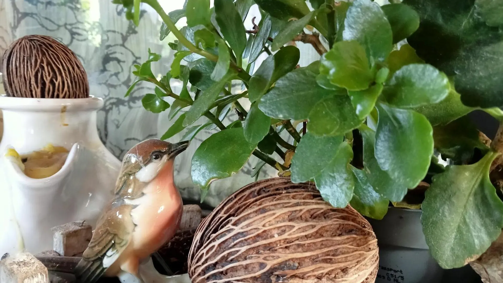 B&B Podere Di Sotto Montelupo Fiorentino Bed & Breakfast