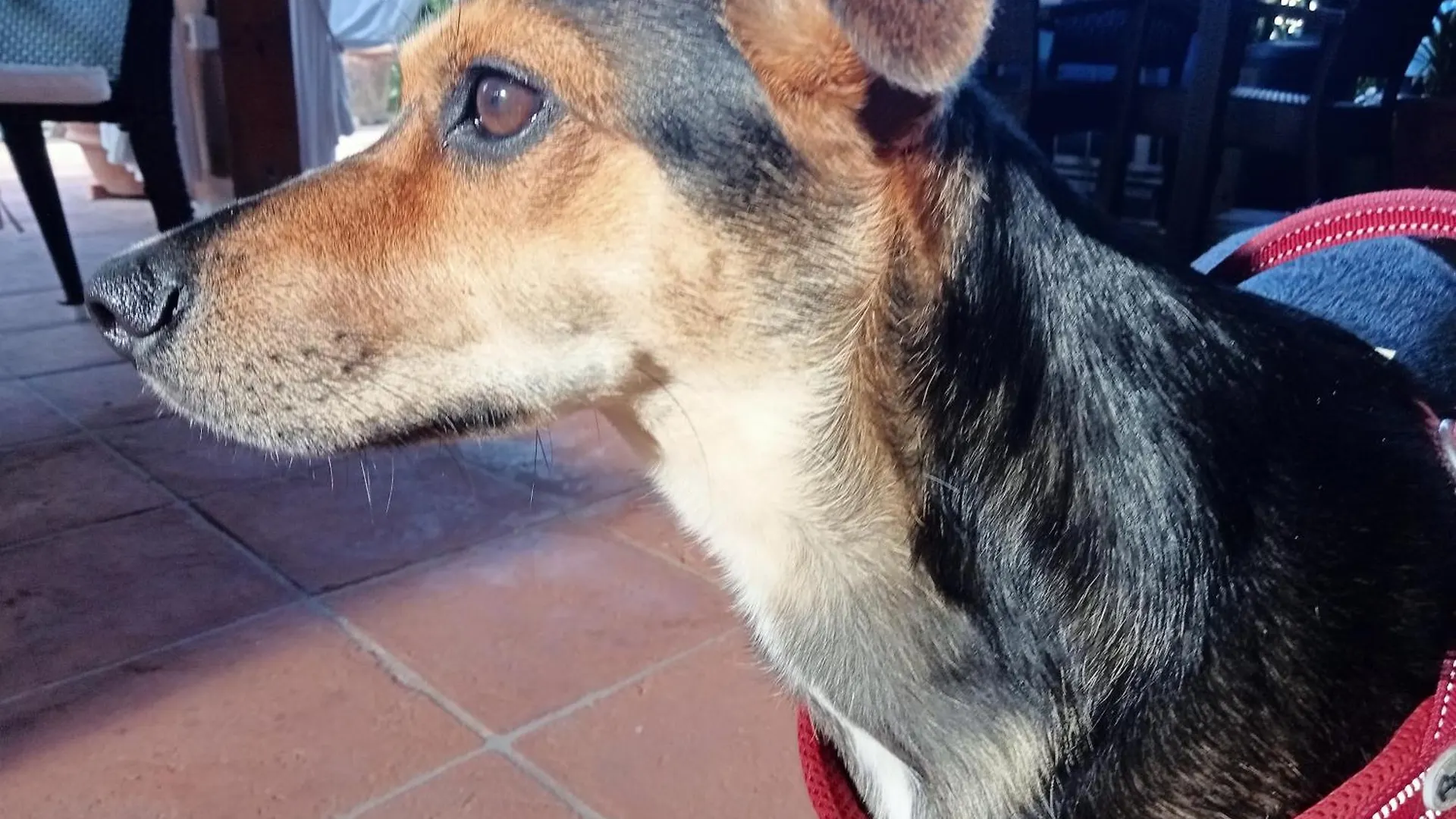 Nocleg ze śniadaniem Podere Di Sotto Montelupo Fiorentino